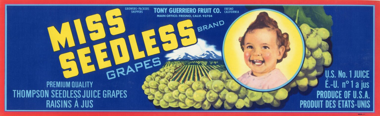 Miss Seedless
